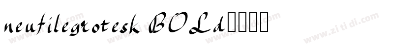 neufilegrotesk BOLd字体转换